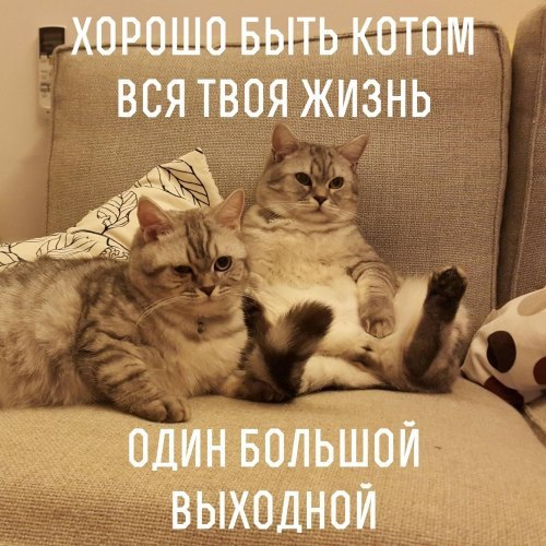  - 2  2016  10:16