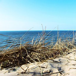 Ksenija, �������, 78 ���