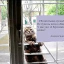 ���� �����, ������� - ��������� 1 ������� 2016 � ������ ������ ��������