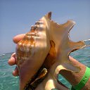 ���� ������, ������, 67 ��� - ��������� 10 ��� 2016