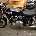 ���� �����, ������, 33 ���� - ��������� 3 �������� 2016 � ������ ������� T100�