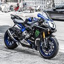 ���� ��������, �������, 41 ��� - ��������� 13 ���� 2016 � ������ ���� ���� ������