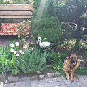 ���� �������, ��������������, 41 ��� - ��������� 28 ������� 2016 � ������ ���� ����������