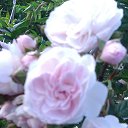 ���� ��������, ����� - ��������� 7 ������� 2016 � ������ ���� ����������