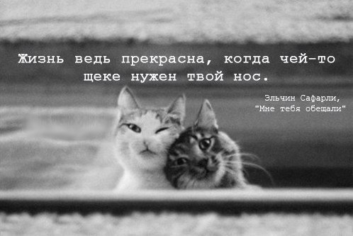      - 28  2016  15:07