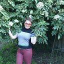 ���� �����, ��������� - ��������� 23 ��� 2016 � ������ ���� ����������