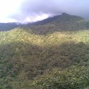 ���� ������, �����, 72 ���� - ��������� 19 ���� 2016 � ������ ������ ��������