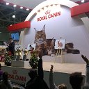  , , 35  -  12  2016   Moscow December 2013
