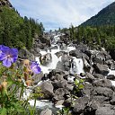  , -, 53  -  25  2016    