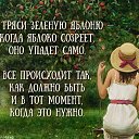 ���� �����, ������ - ��������� 12 ���� 2016 � ������ ������ ��������