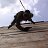 ���� �����, ���������, 42 ���� - ��������� 20 ���� 2016