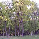 ���� �����, ������, 59 ��� - ��������� 9 ���� 2016 � ������ ���� ����������