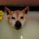 ���� �����, ������, 36 ��� - ��������� 19 ����� 2016 � ������ ���� ����������