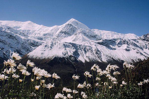 Nepal