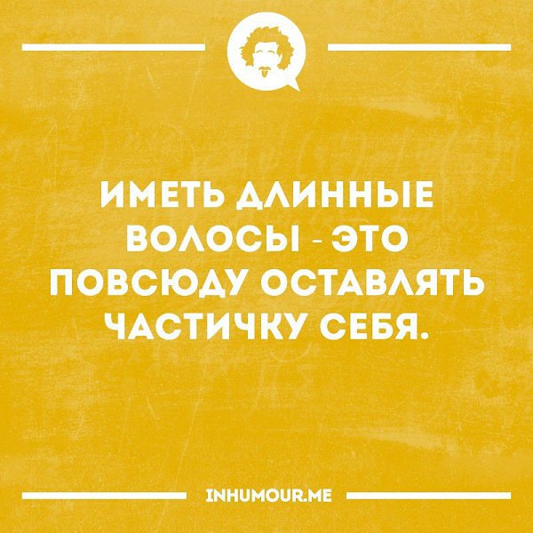  - 17  2016  11:33