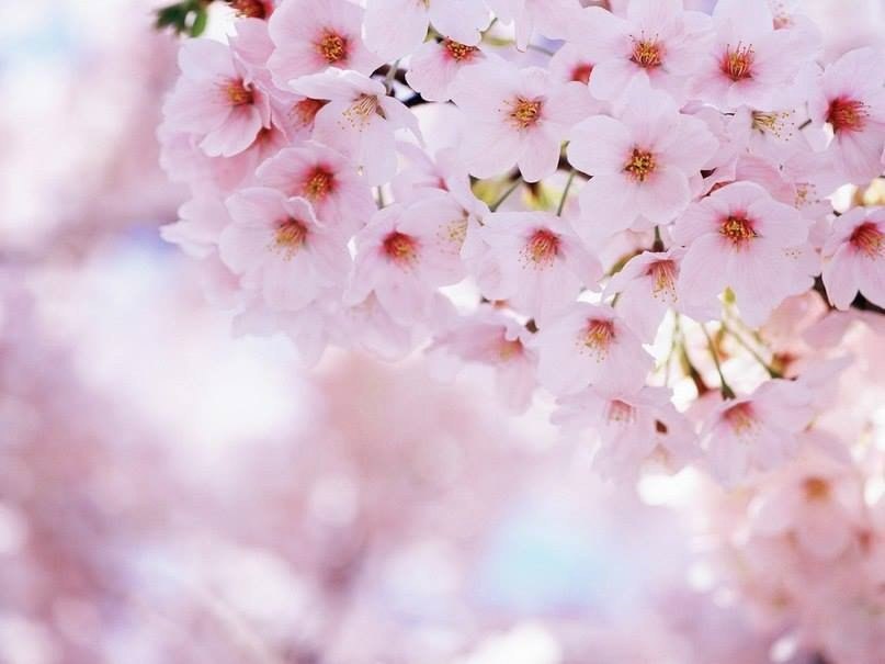   . . . . #@https://fotostrana.ru/away?to=/sl/XE2 #@https://fotostrana.ru/away?to=/sl/XE2 - 4
