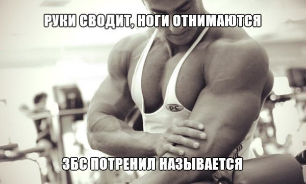  -   - 6  2016  10:20