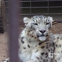 ���� Sveta, ������� - ��������� 23 ��� 2016 � ������ ���������