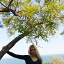 ���� �������, ������, 42 ���� - ��������� 18 ��� 2016 � ������ ���� ����������