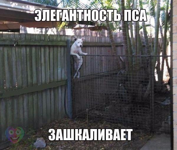 ������ ��������� :D - 12 ���� 2016 � 19:21