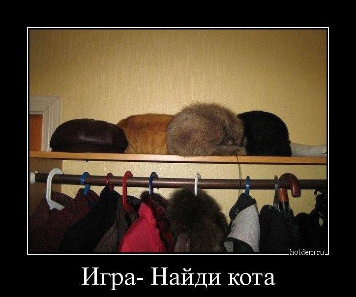*. ,  ,   ))))