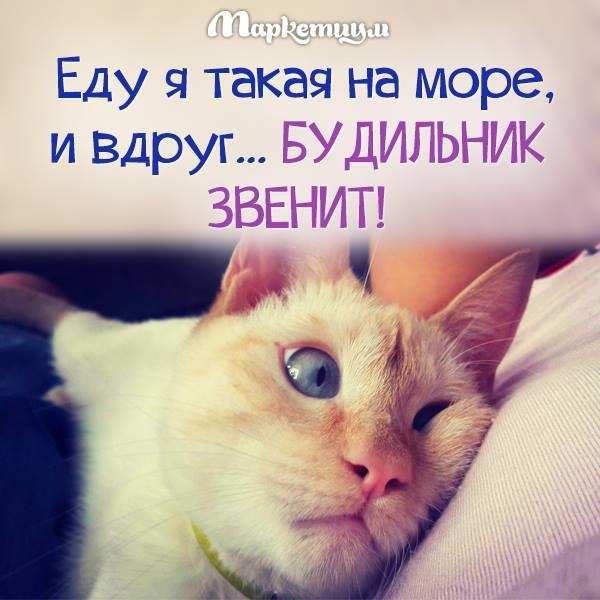 .https://fs-play.com/away?to=/sl/kxC2 - 19  2016  16:47
