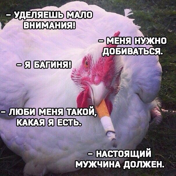  -   - 31  2016  23:17