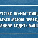 ���� ������, ������, 64 ���� - ��������� 24 ������� 2016 � ������ ������ ��������