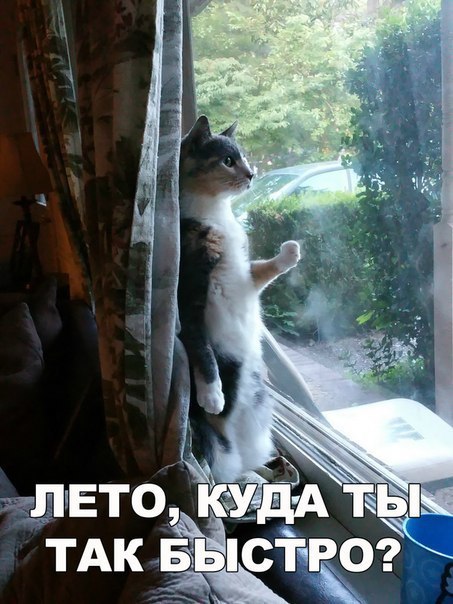    :D - 15  2016  13:12