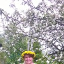 ���� �������, ���������, 65 ��� - ��������� 23 ��� 2016 � ������ �������