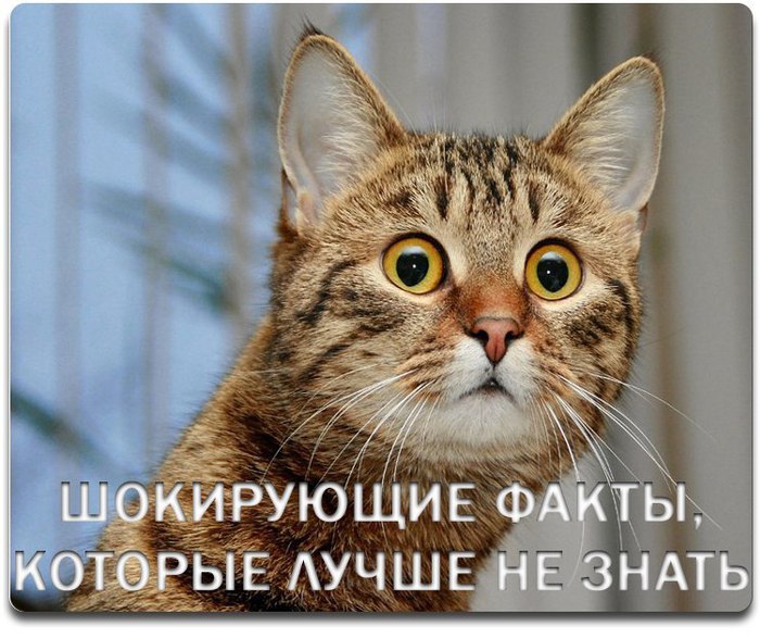 Шокирующие факты, которые лучше не знать.1. Ваши стопы выделяют около 20 литров пота в год.2. Если ...