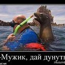 ���� �������, ������, 48 ��� - ��������� 29 ������ 2016 � ������ ������ ��������