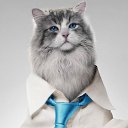 ���� ������, ������, 36 ��� - ��������� 6 �������� 2016 � ������ ������ ��������