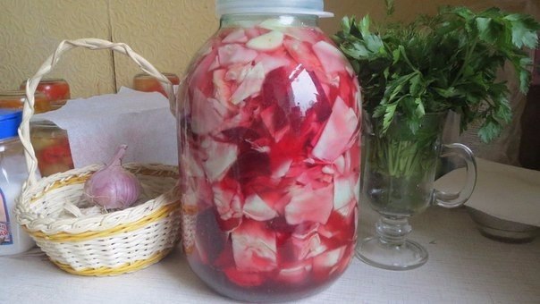 Капуста провансаль . Капусту порезать и в банку слоями : капуста, свекла, чеснок ... можно ...