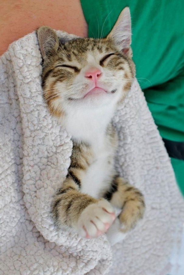       :3 - 3
