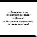  , , 43  -  5  2016    