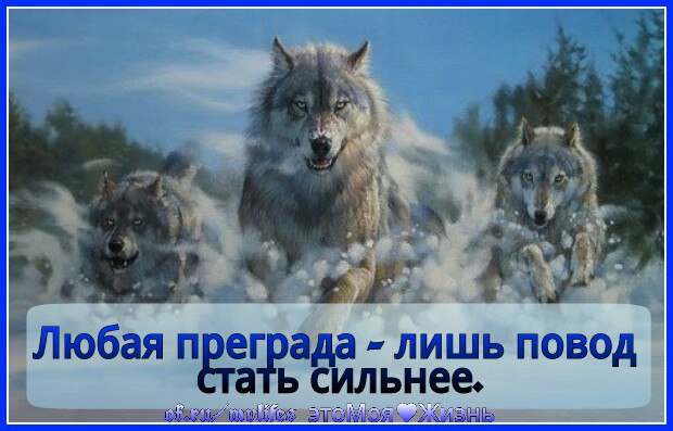   - 20  2016  18:16