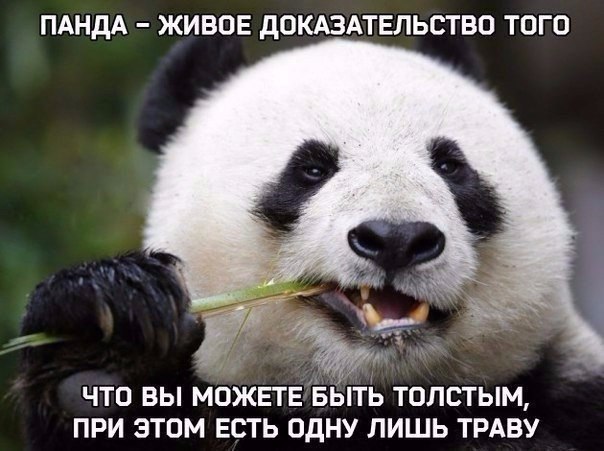 #@ican