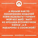 ���� ��������, ���������� - ��������� 10 �������� 2016 � ������ ������ ��������