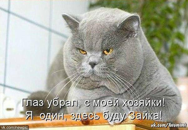 ***Victoria Viktorovna*** - 12  2016  14:11
