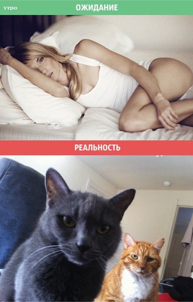 Отношения: ожидания и реальность.Отношения — штука очень сложная, но интересная. Согласятся с этим и ... - 2