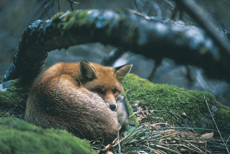   - 14  2016  16:07 - 10