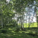  , -- -  24  2016    2016