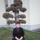 "����������2015� ���" �� ������� ���� ����������