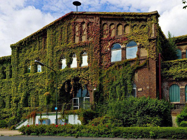   .        .  , ... - 16