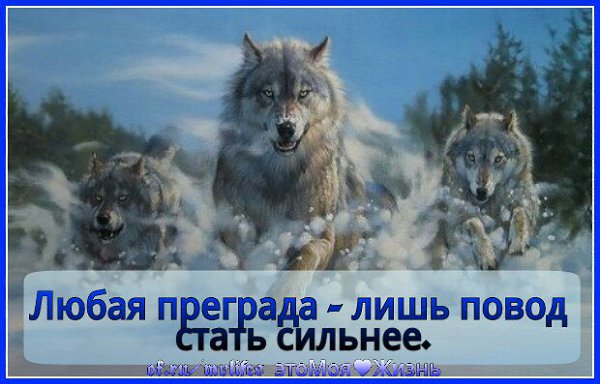   - 20  2016  18:16