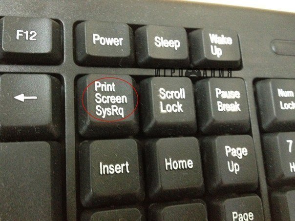   Print Screen   ctrl V   ,      ...
