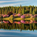 ���� Dmitriy, ���������������, 37 ��� - ��������� 26 ����� 2016 � ������ ���� ����������