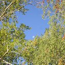 ���� ���������, ������������ - ��������� 28 ���� 2016 � ������ ���� ����������