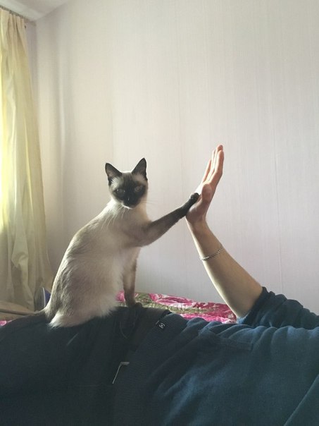       - 2